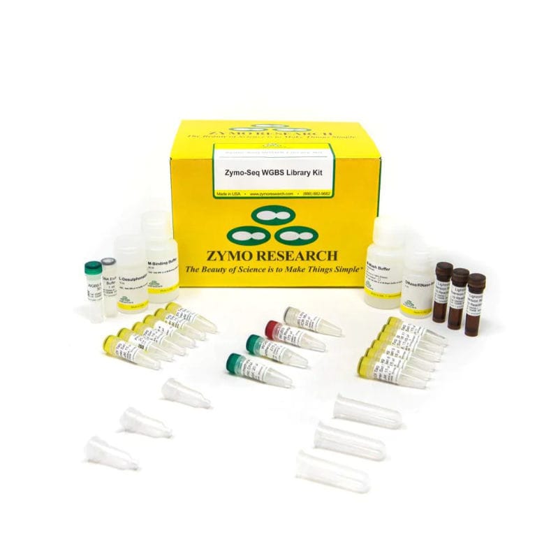 Solution reagent kit D5465 Zymo Research for DNA library