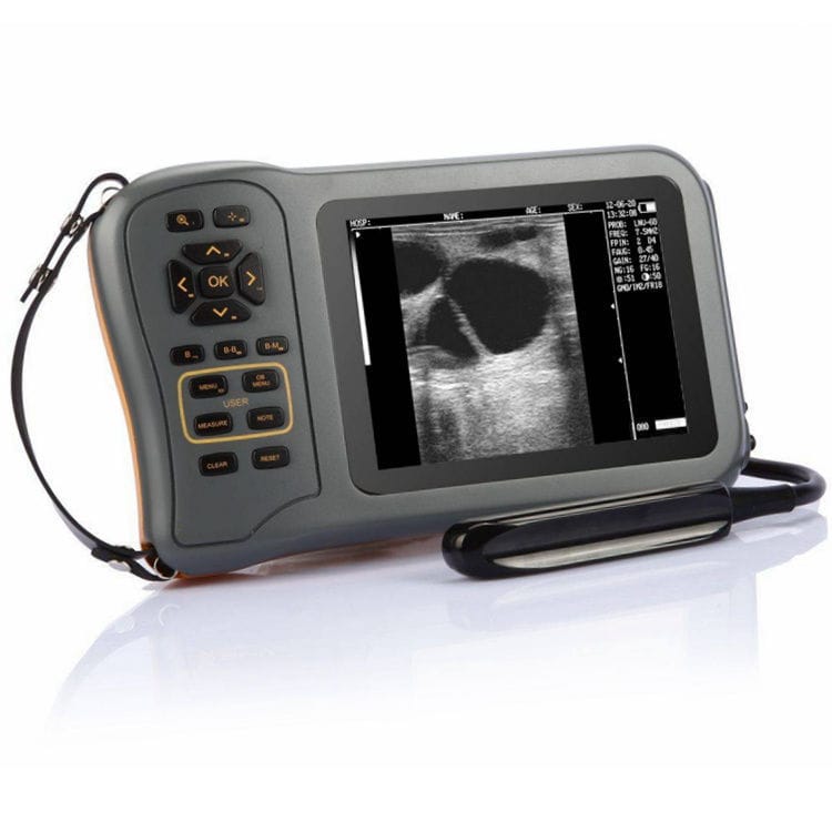 Hand-held Veterinary Ultrasound System - V3 - Promed Technology ...