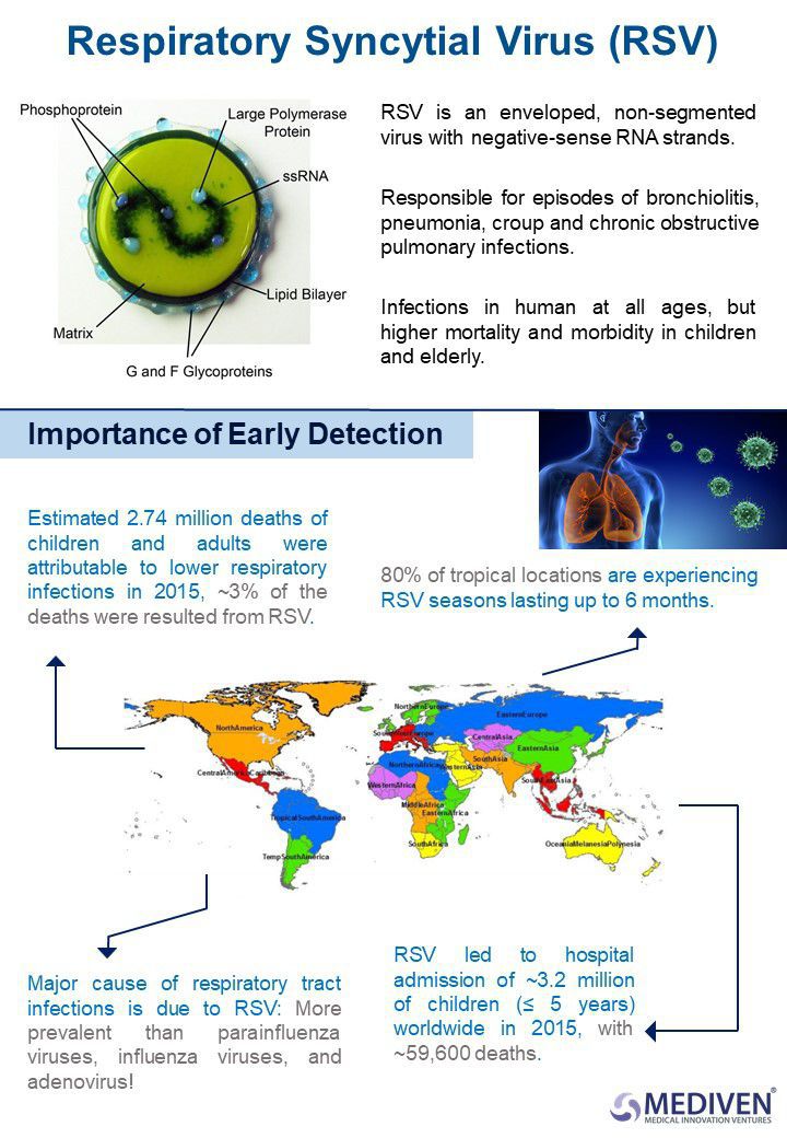 Rapid Flu Test / Influenza A / Influenza B / Respiratory Syncytial ...