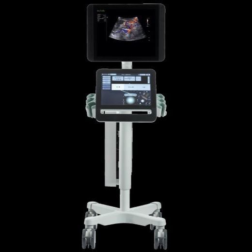 On Platform Ultrasound System Bk Activ Sound Technology Inc For