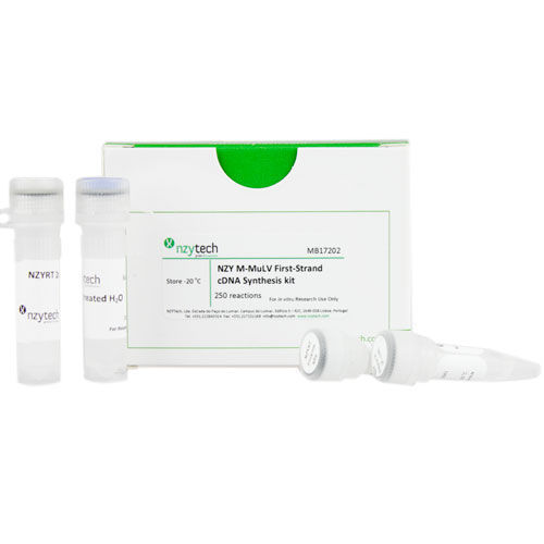 Reverse transcriptase reagent kit MB172 NZYTech for cDNA