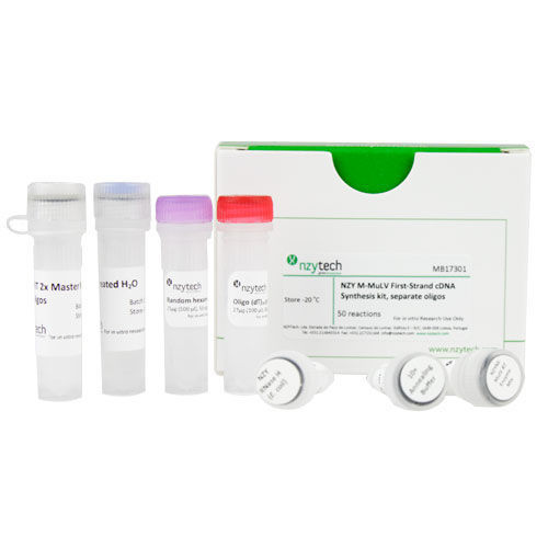 Reverse transcriptase reagent kit MB173 NZYTech for cDNA