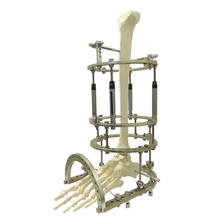 RESTORATIVE DESIGN & PRACTICAL OCCLUSIO… RESTORATIVE DESIGN & PRACTICAL OCCLUSIO…