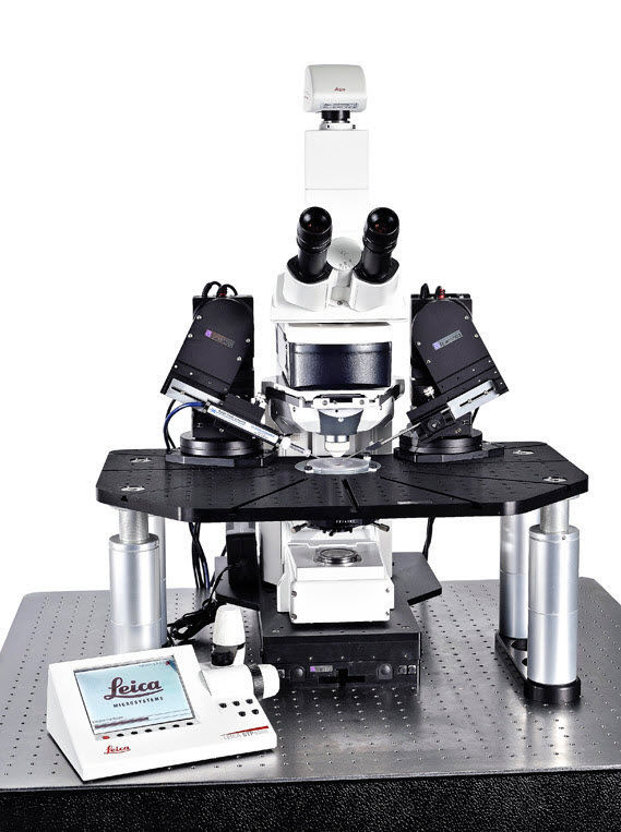Dualchannel patchclamp system Patch Pro 2000 Scientifica for