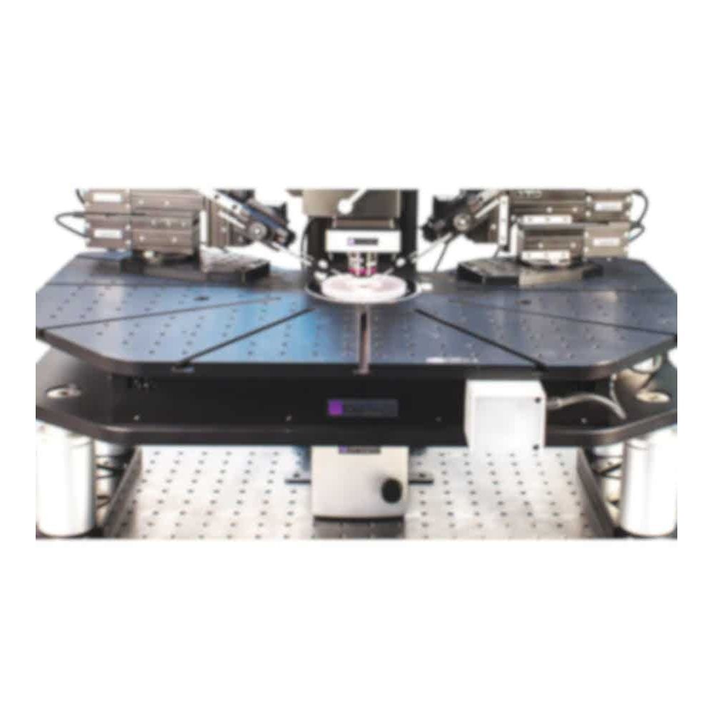 Microscope slide table - MMTP - Scientifica - manual / positioning