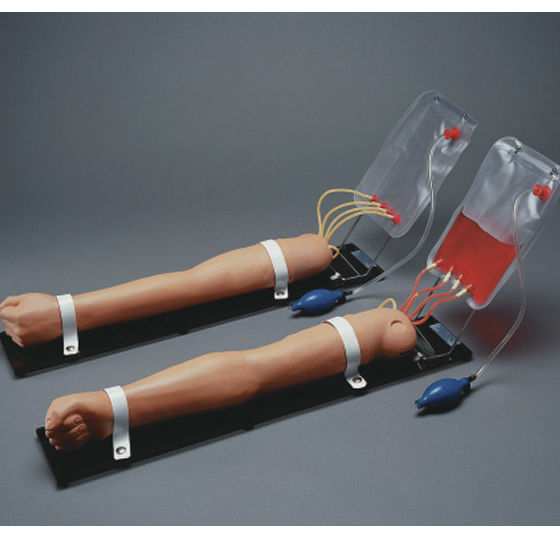 Blood collection simulator 84374 Health Edco & Childbirth Graphics