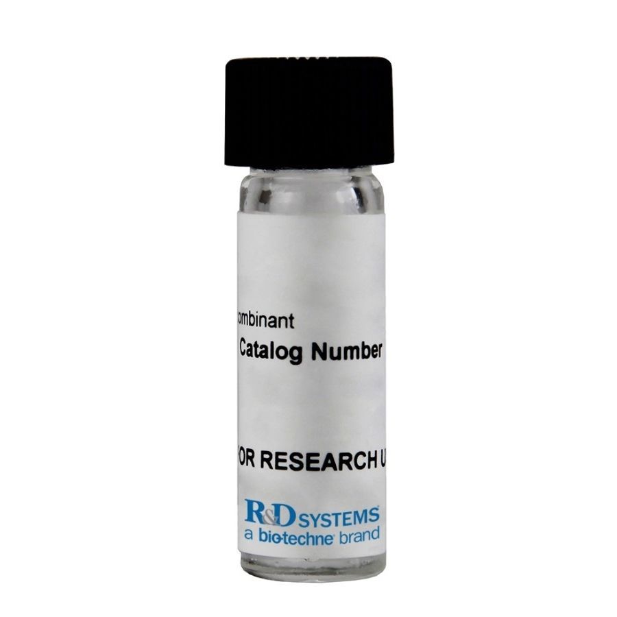Enzyme Reagent 9767 AR R D Systems Bovine Serum Albumin For enzyme-reagent-9767-ar-r-d-systems-bovine-serum-albumin-for