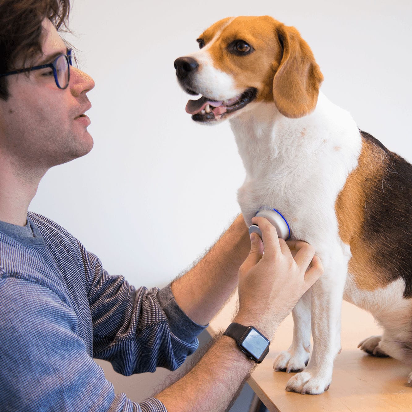 Veterinary stethoscope Stethee Vet M3DICINE electronic / wireless