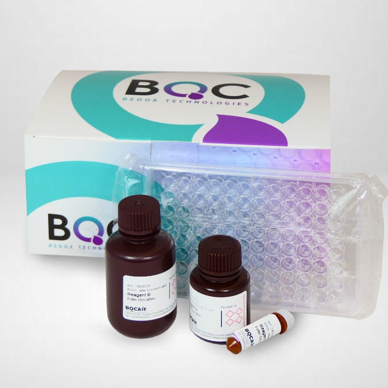 Polyphenol quantification assay kit KB03006 Bioquochem for