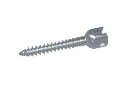 Monoaxial pedicle screw - HG series - HankilTech Medical - metallic