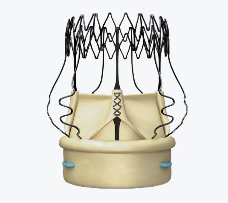 aortic-valve-bioprosthesis-perceval-livanova-bovine-tissue