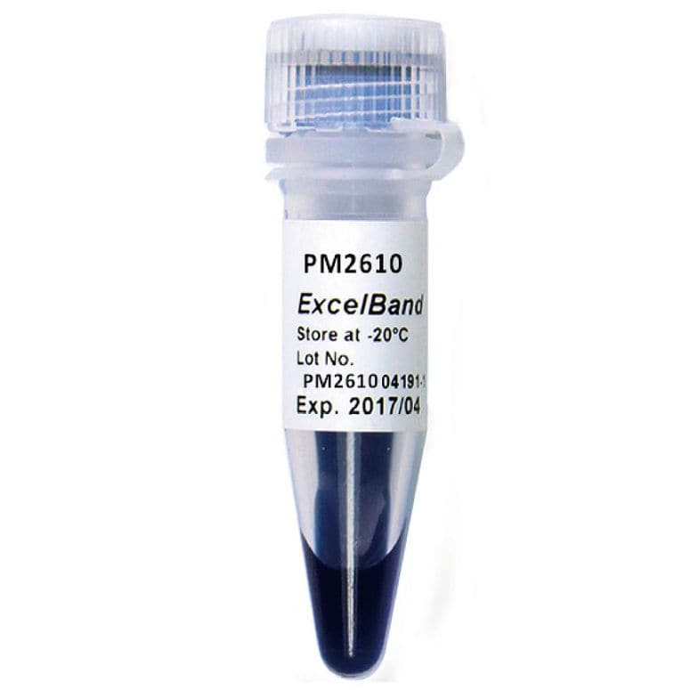 Loading buffer reagent ExcelBand™ SMOBIO Technology, Inc. for