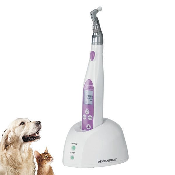 Veterinary handpiece MICROMAX® BRITE Apixia for dental