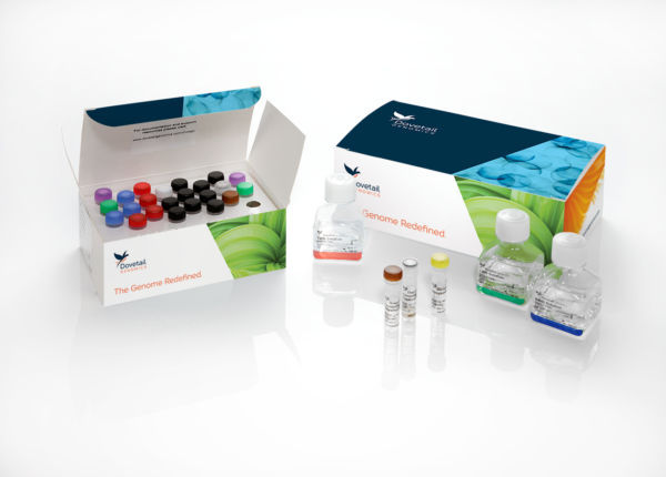 Enzyme reagent kit - Hi-C - Dovetail Genomics - for research / NGS ...
