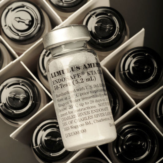 Buffer solution reagent kit LAL Charles River Laboratories for