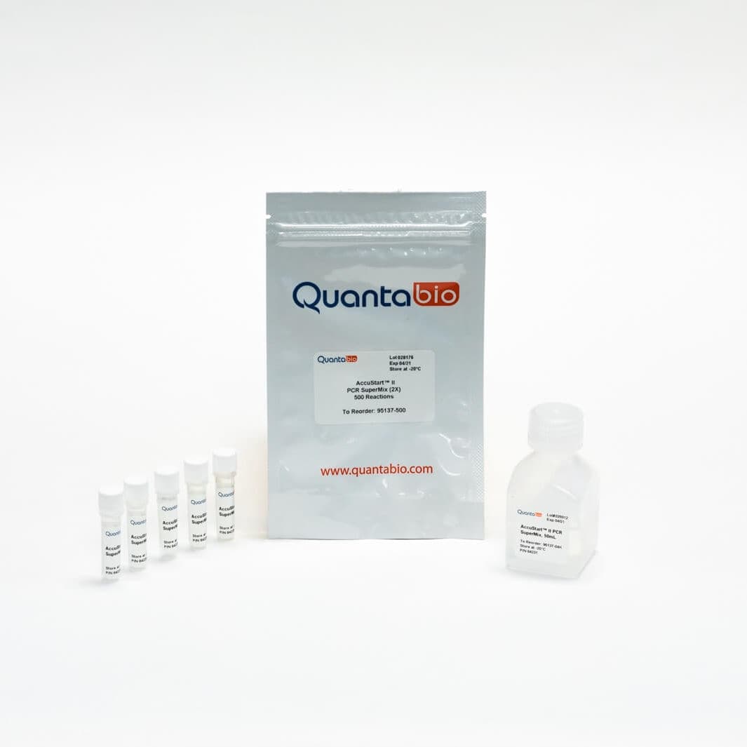 DNA polymerase reagent kit - AccuStart II SuperMix - QuantaBio - Taq ...