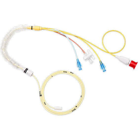 Thermodilution Sensor Thermodilution catheter - Shenzhen Prunus Medical - pulmonary vein ...