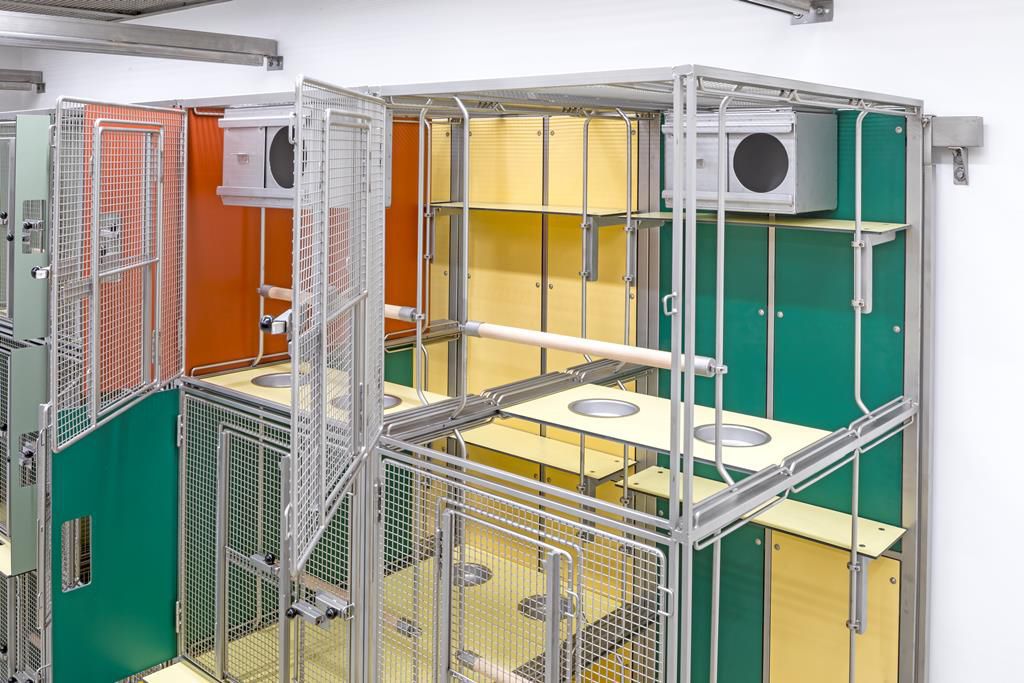 Primate animal enclosure - Marmosets - Zoonlab GmbH