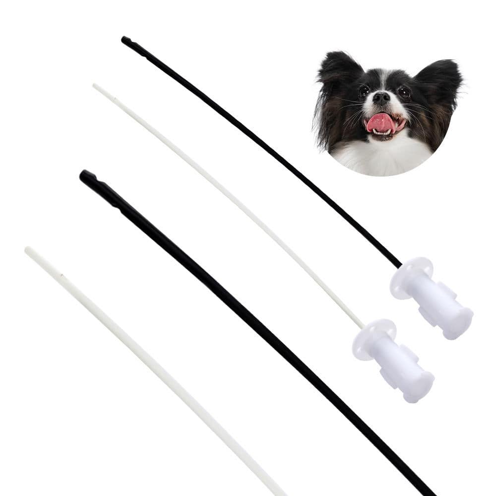 Urine drainage veterinary catheter Nanchang Kindly Meditech