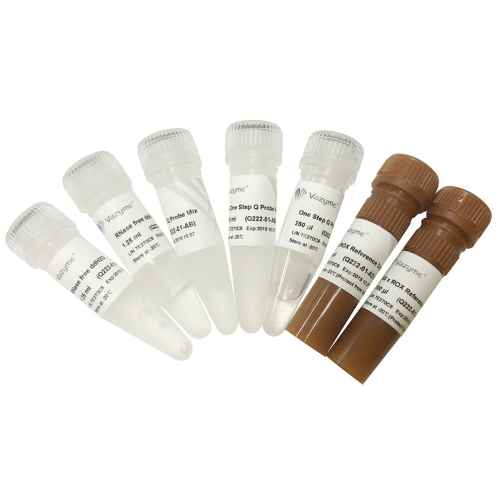 Dna Polymerase Reagent Kit Hiscript Ii Vazyme Medical Co Ltd