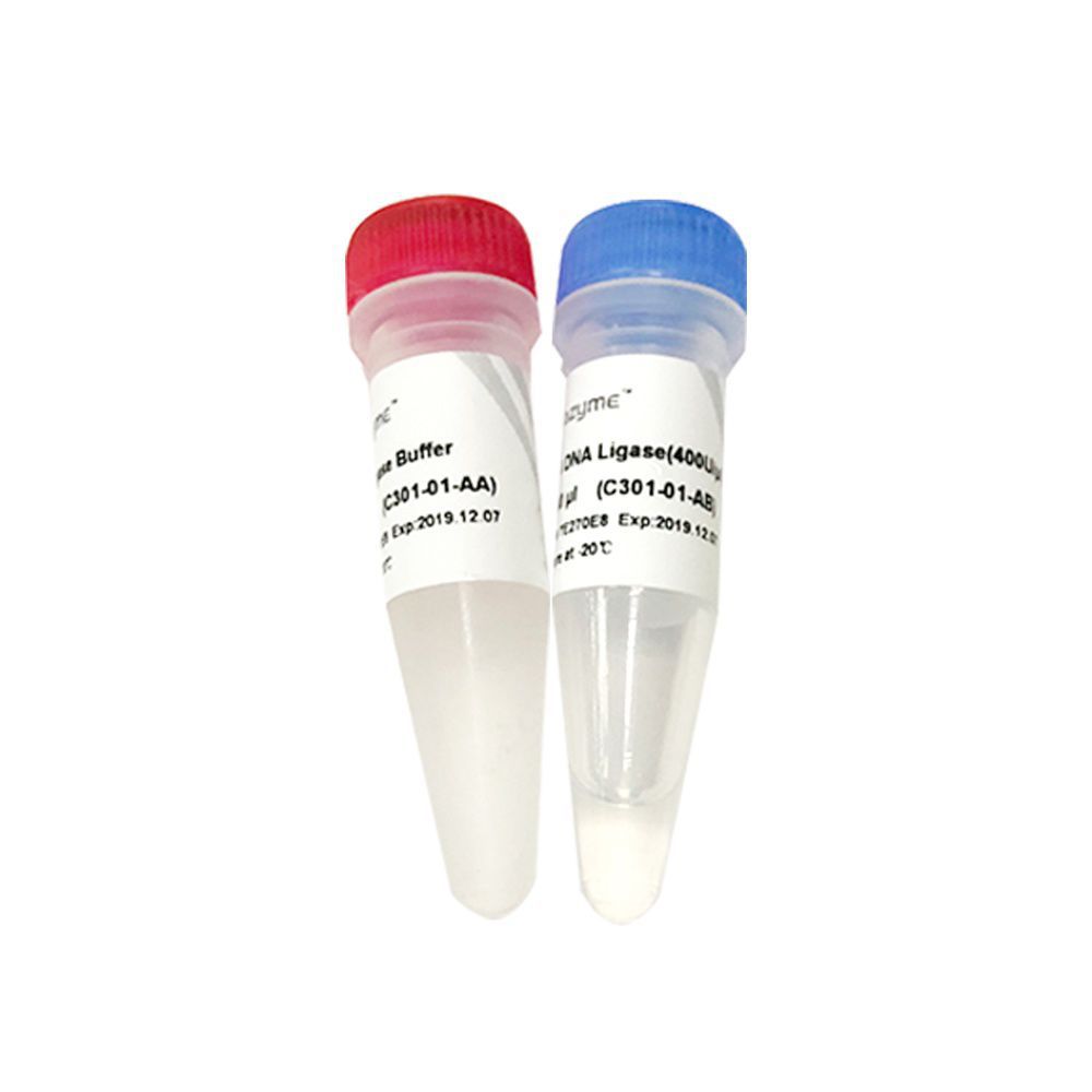 DNA ligase reagent - C301 - Vazyme Medical Co.,Ltd - for PCR / phosphate