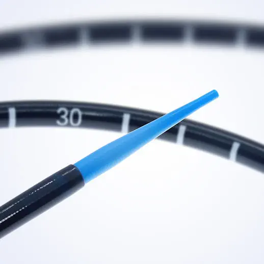 Qizil malika: jinsiy aloqa va inson evolyutsiyasi epub