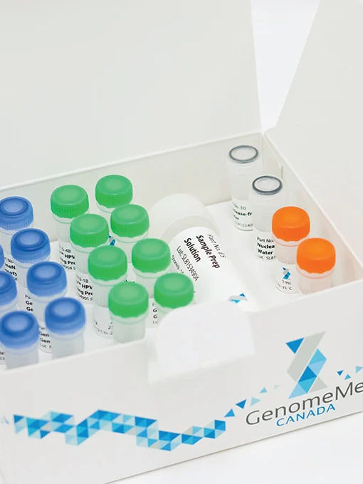 Infectious disease test kit GeneNav™ GenomeMe Labs Inc for genotyping / HPV / bacteria