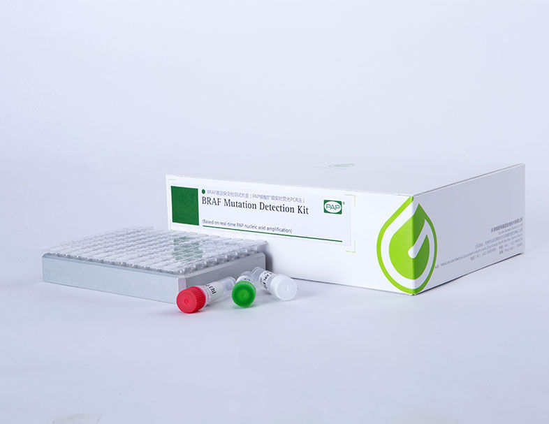 Cancer test kit Biotek for BRAF mutations / plasma / urine