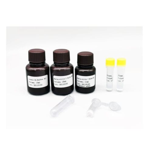 Buffer solution reagent kit - MABSKY BIO-TECH CO.，LTD - clinical / for ...