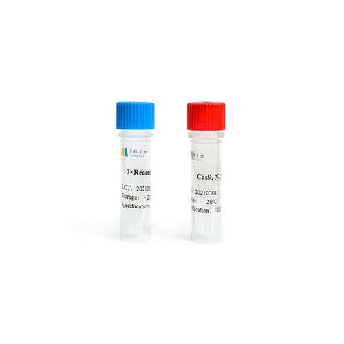 Enzyme reagent - C002 series - Guangzhou Magigen Biotechnology Co. Ltd ...