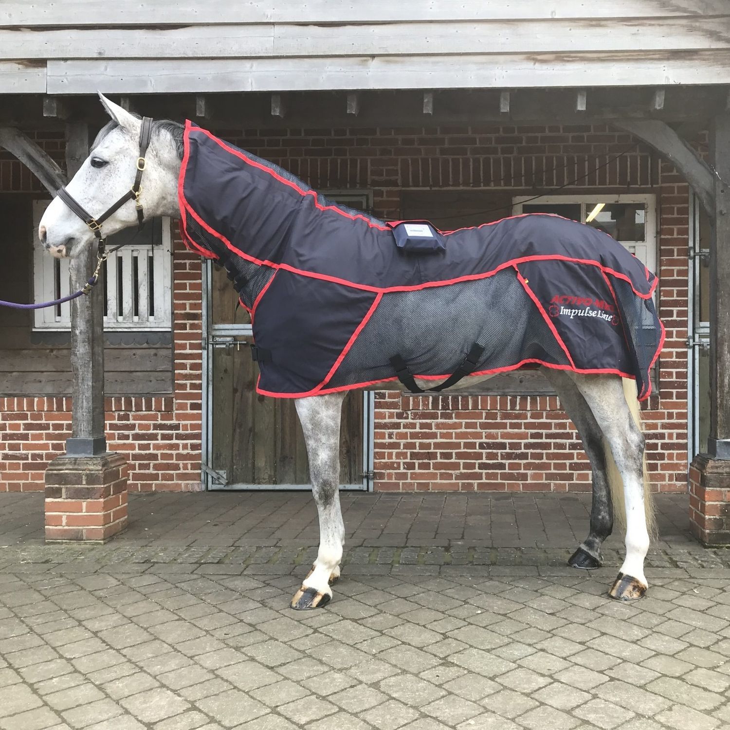 Veterinary therapy unit Combi Pro II PEMF FMBs for