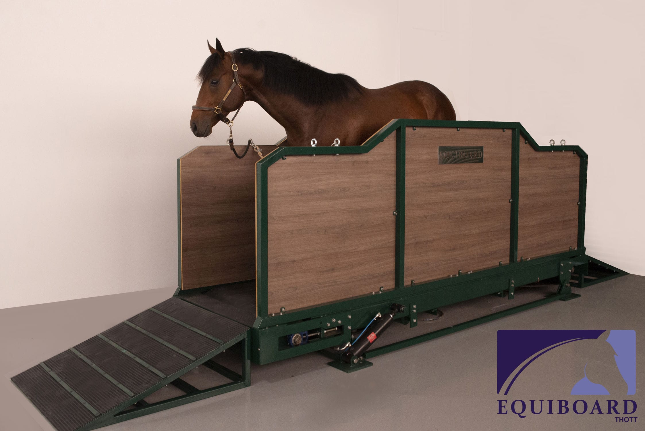 Walk veterinary treadmill EQUIBOARD inclined / for horses