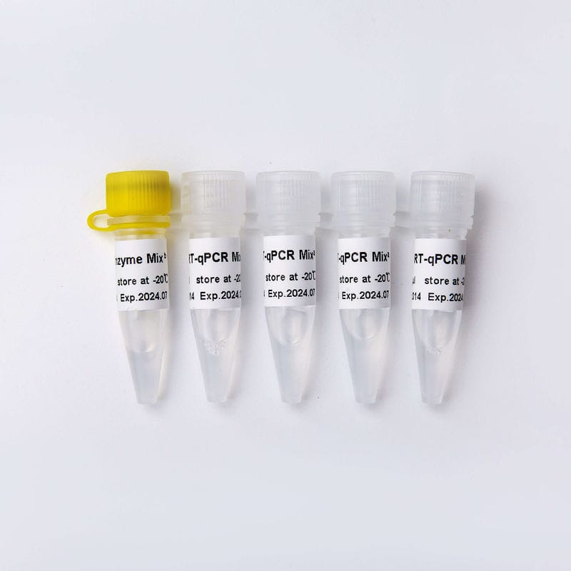 DNA polymerase reagent kit - V2 - Guangzhou Dongsheng Biotech Co., Ltd ...