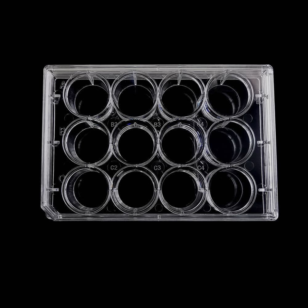 Laboratory microplate CCP12H Servicebio for cell cultures / 12well