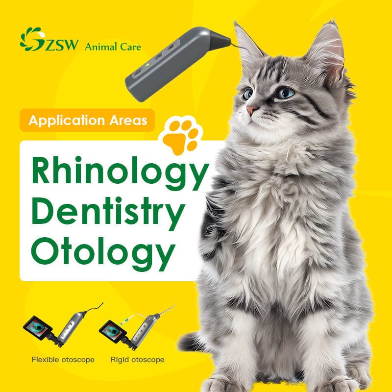 Video veterinary otoscope - JZVet-CH - JZ Biotech - for small animals ...