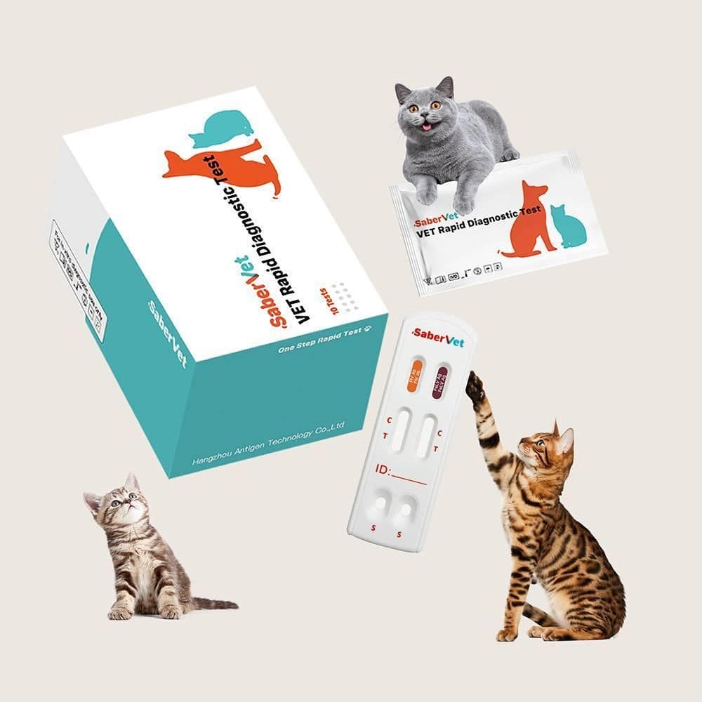 Curated visual reference: Feline Leukemia Blood Work Profile Reference: Rapid Feline Leukemia Test Sabervet Fiv Ab Felv Ag