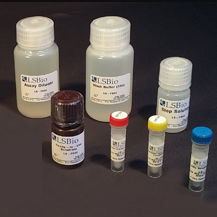 Research assay kit - LS-K289 - LifeSpan BioSciences - for lactose ...