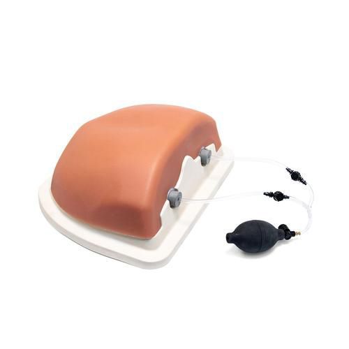 Intraosseous infusion simulator - P66 - 3B Scientific - interventional ...