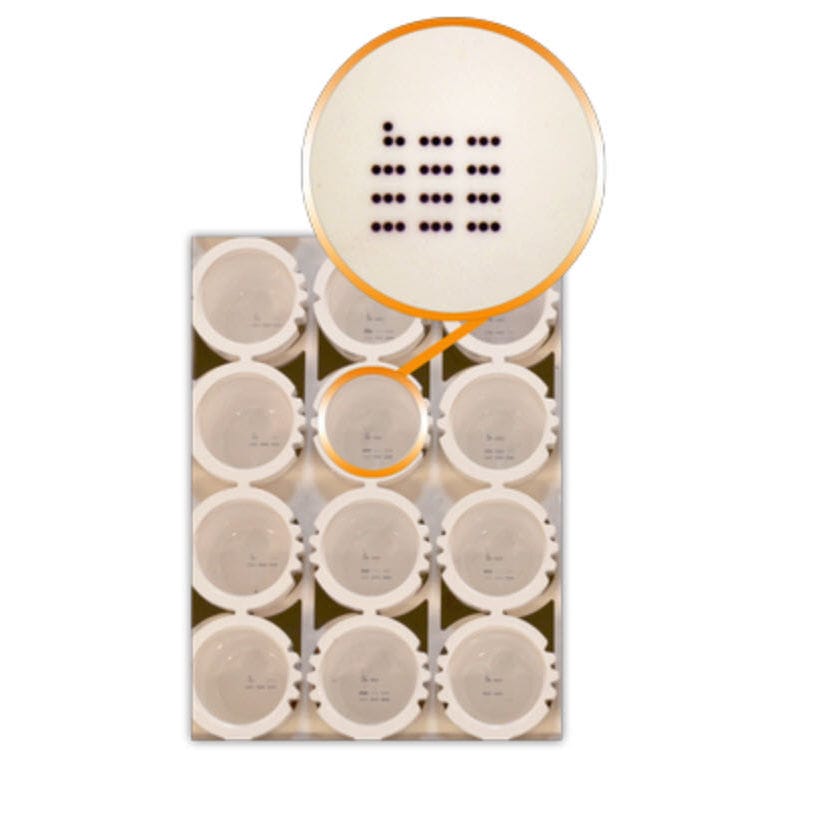 Lyme disease test kit IA3010 AID , Autoimmun Diagnostika for