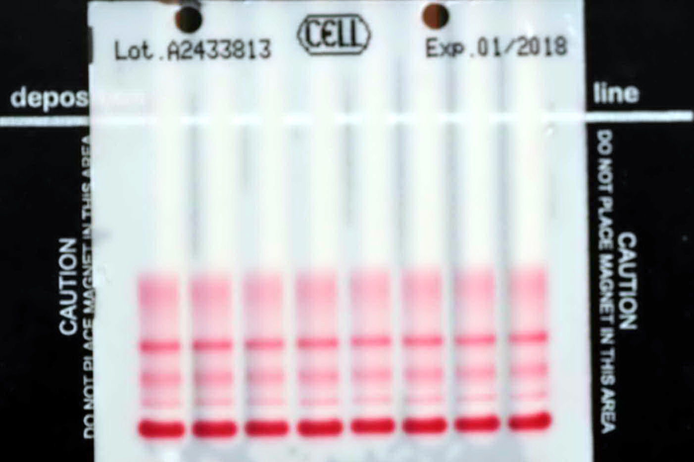 Electrophoresis densitometer MiniSCAN CELL Start Project