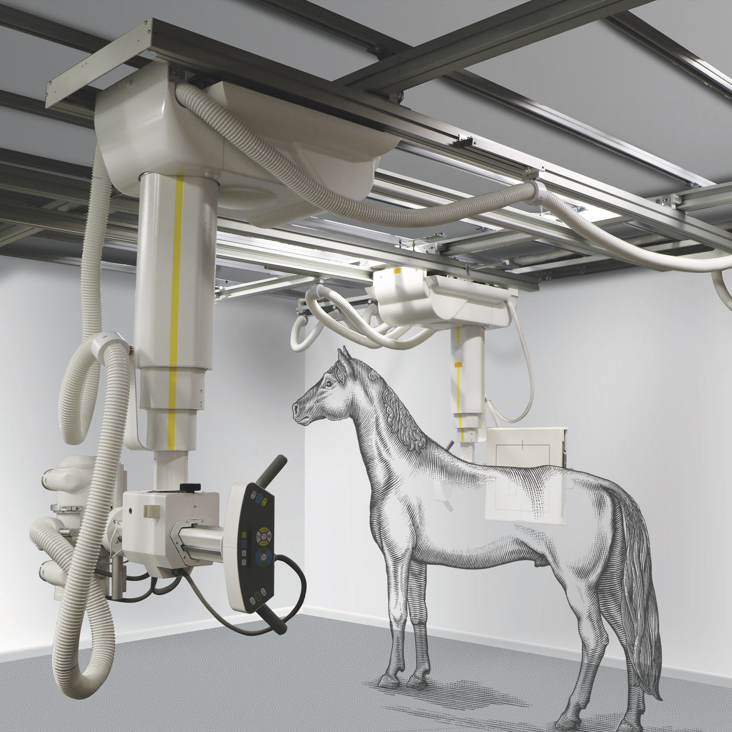 Veterinary Xray system ZooMax CONTROLX Medical digital / ceilingmounted