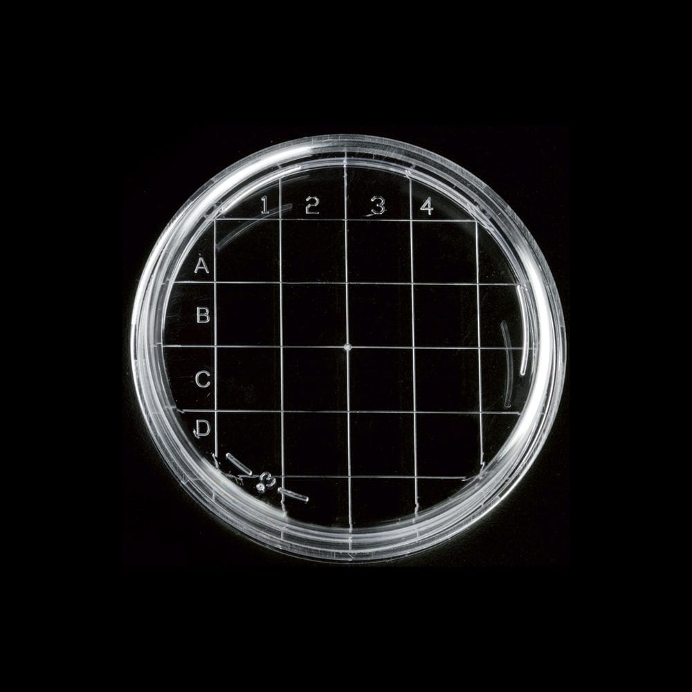 Petri Dish With Counting Grid 2002 Series Deltalab