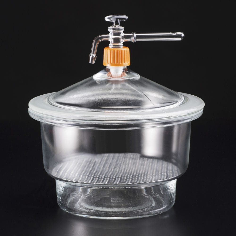 Desiccator 19232 Deltalab
