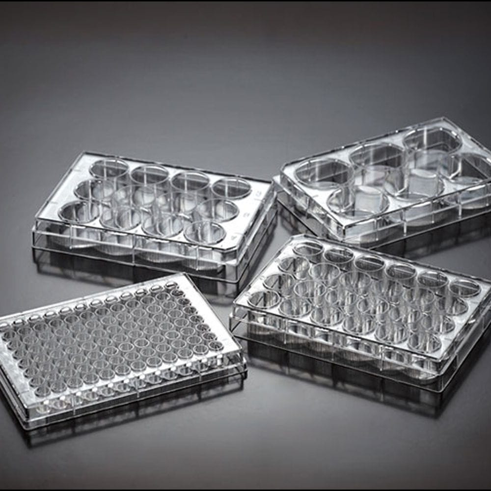 Laboratory microplate D200001 Deltalab for cell cultures / tissue