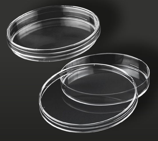 Polystyrene Petri dish - 29042 - F.L. Medical