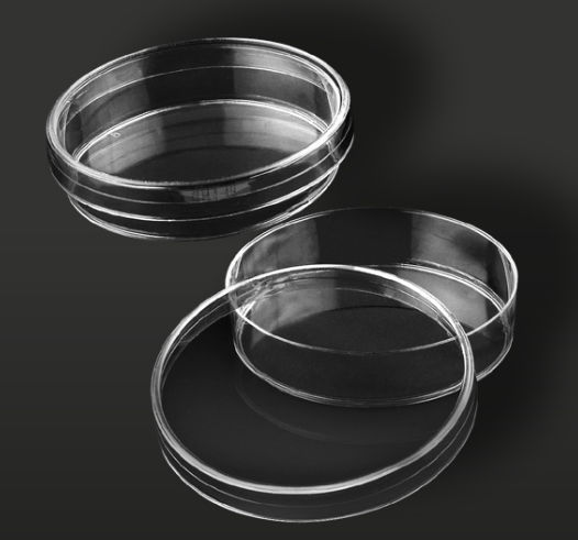 Polystyrene Petri dish - 29040 - F.L. Medical