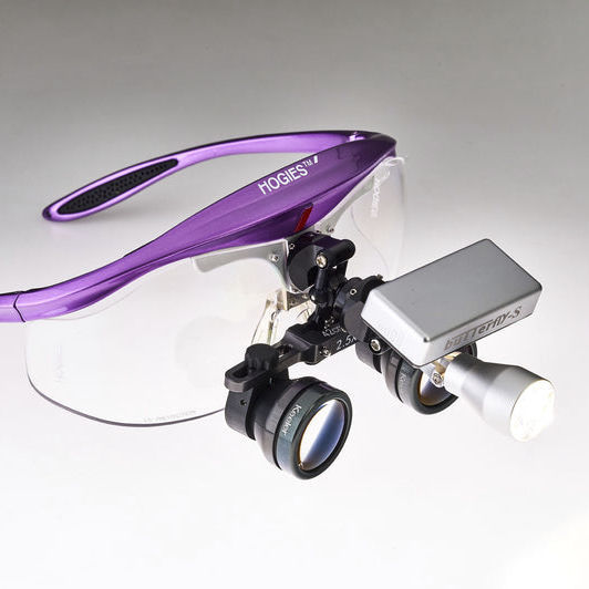 Surgical headlight Butterfly Hogies LED / for binocular loupes
