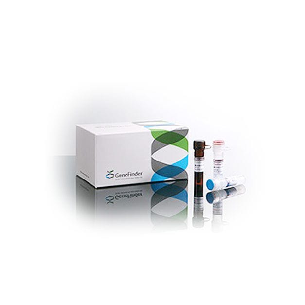 Rheumatic disease test kit GeneFinder™ OSANG Healthcare HLAB27