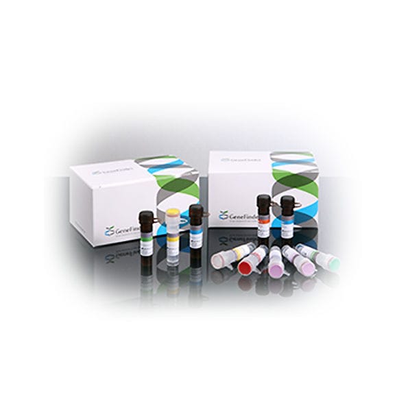 Infectious disease test kit - GeneFinder™ - OSANG Healthcare - human ...