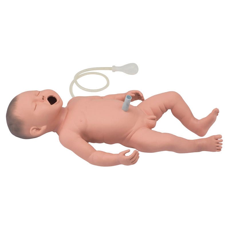Training simulator lm 111gm koken catheterization intubation